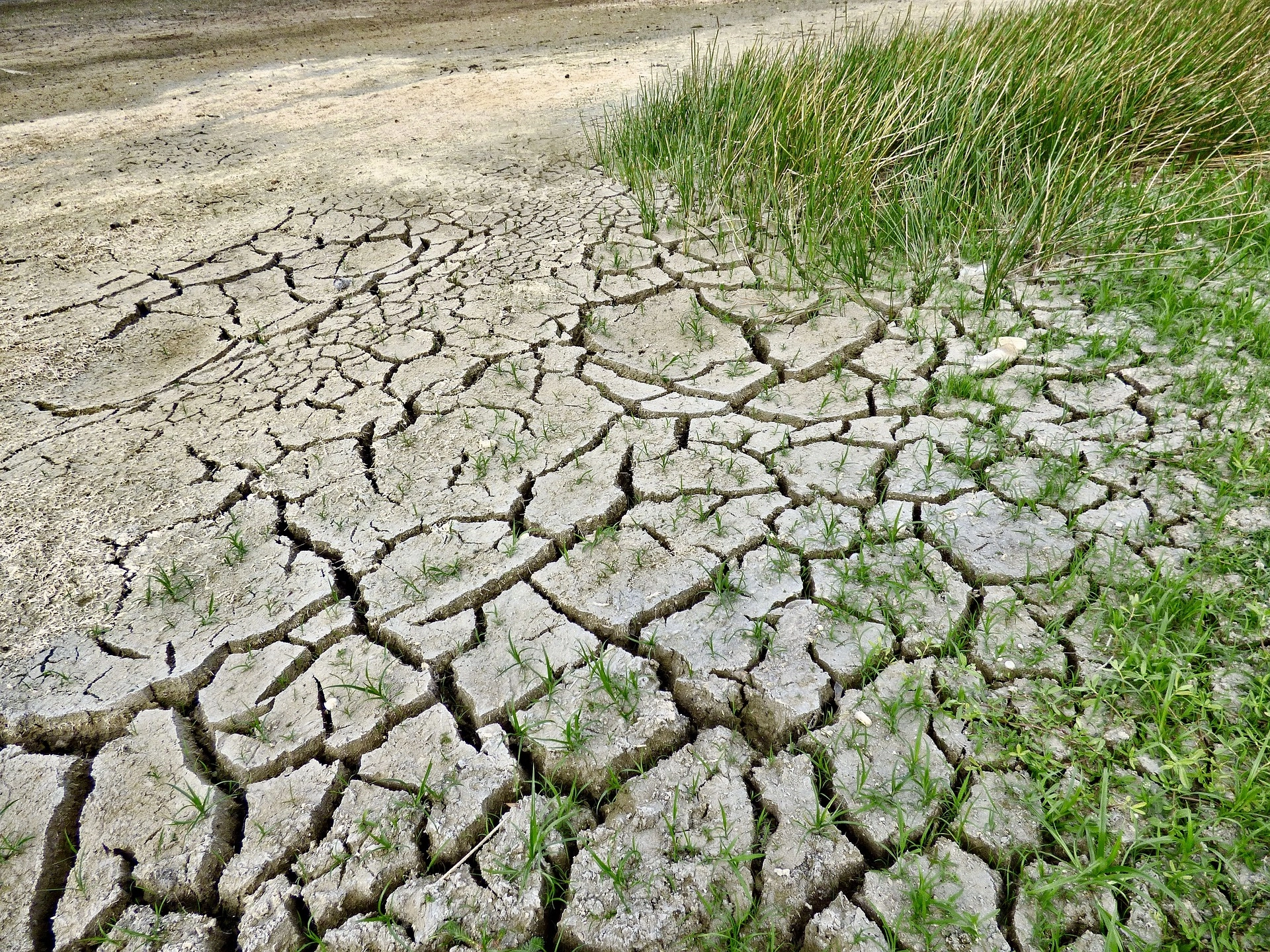 Imatge de terra seca i amb clevills per falta d'aigua